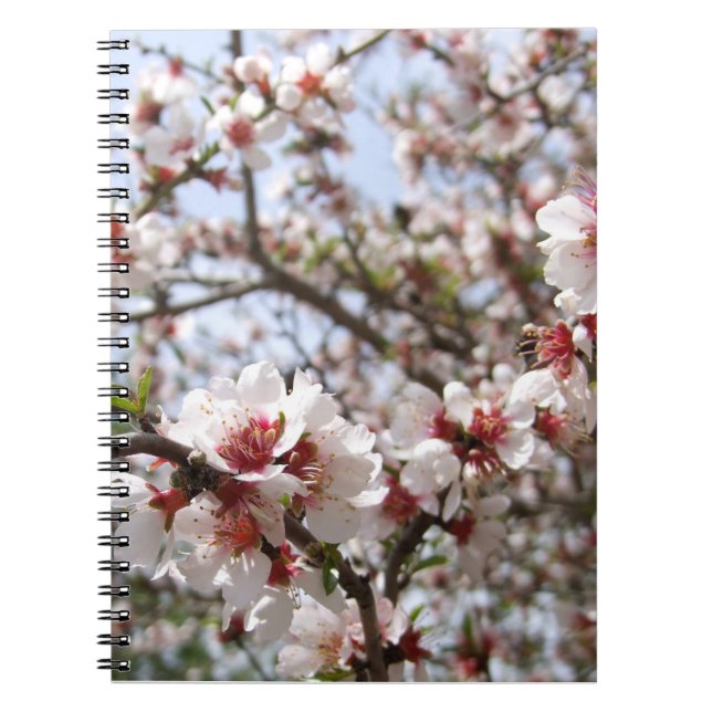 Caderno Espiral Notebook Primavera Blossom (Frente)