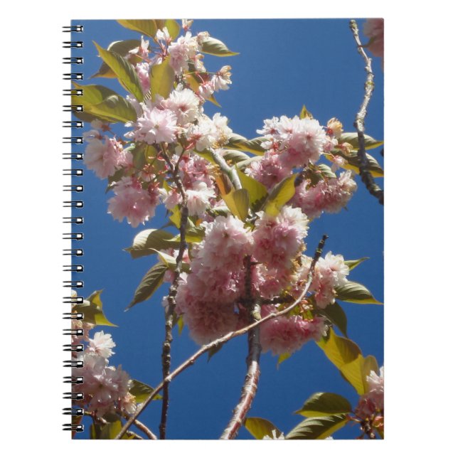 Caderno Espiral Notebook Primavera Blossoms (Frente)