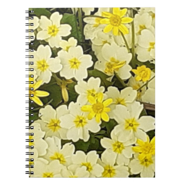 Caderno Espiral Notebook Primavera Primroses (Frente)