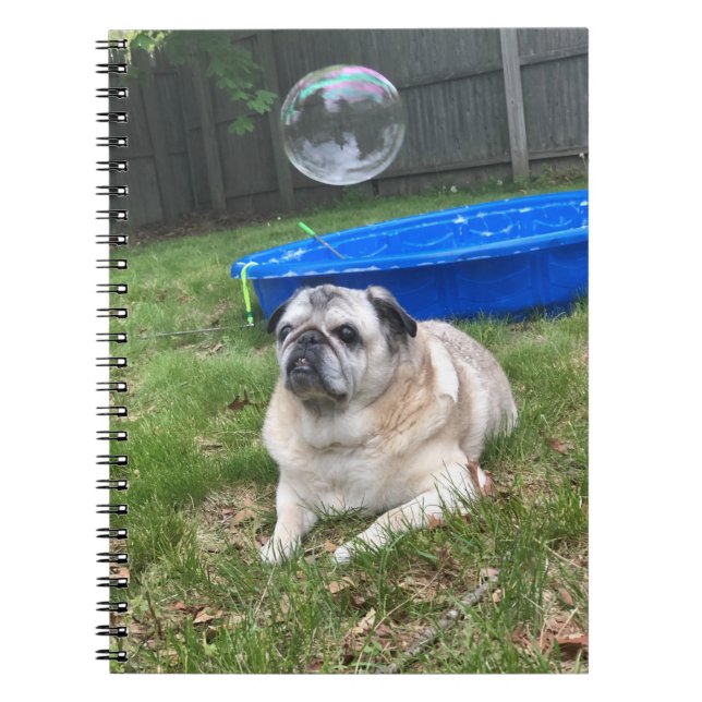 Caderno Espiral Notebook Pug Spiral (Frente)