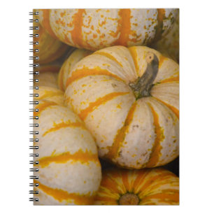Caderno Espiral Notebook Pumpkin