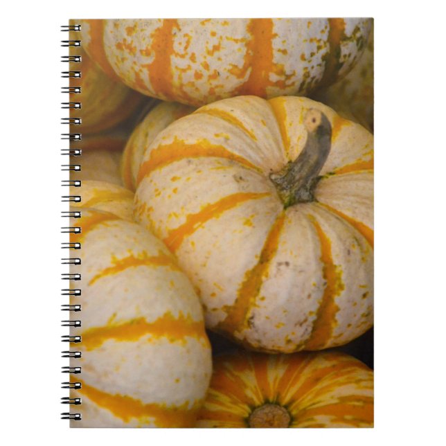 Caderno Espiral Notebook Pumpkin (Frente)