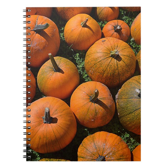 Caderno Espiral Notebook Pumpkin (Frente)