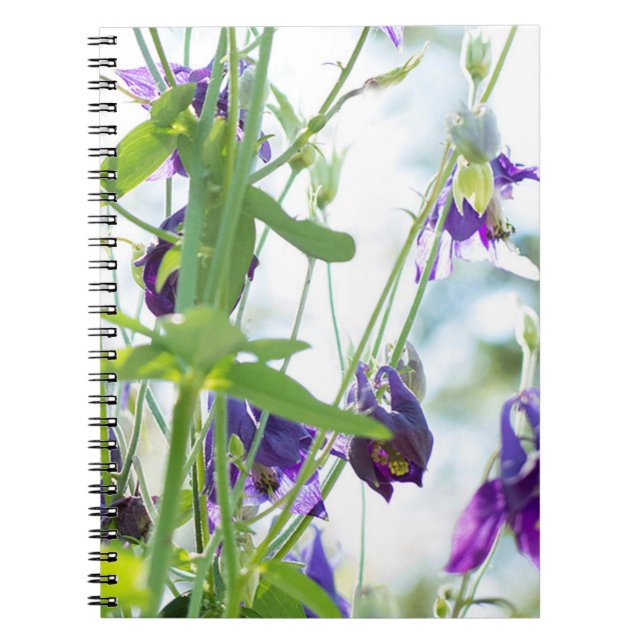 Caderno Espiral Notebook Purple Columbine Floral (Frente)