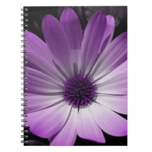 Caderno Espiral Notebook Purple Daisy Flower