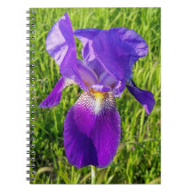 Notebook Purple Iris