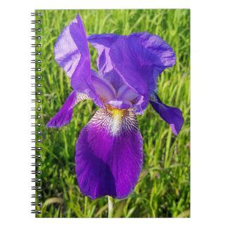 Caderno Espiral Notebook Purple Iris