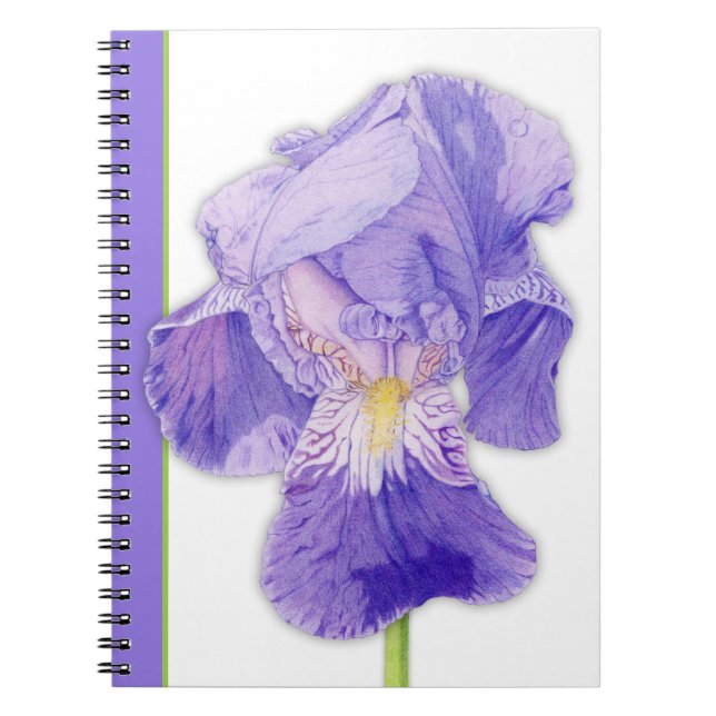 Caderno Espiral Notebook Purple Iris 2 (Frente)
