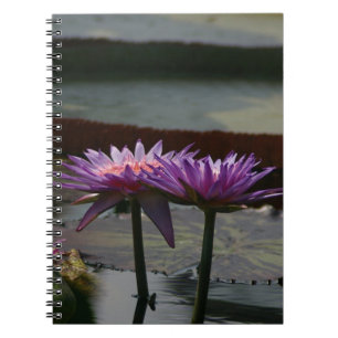 Caderno Espiral Notebook Purple Waterlily Lotus