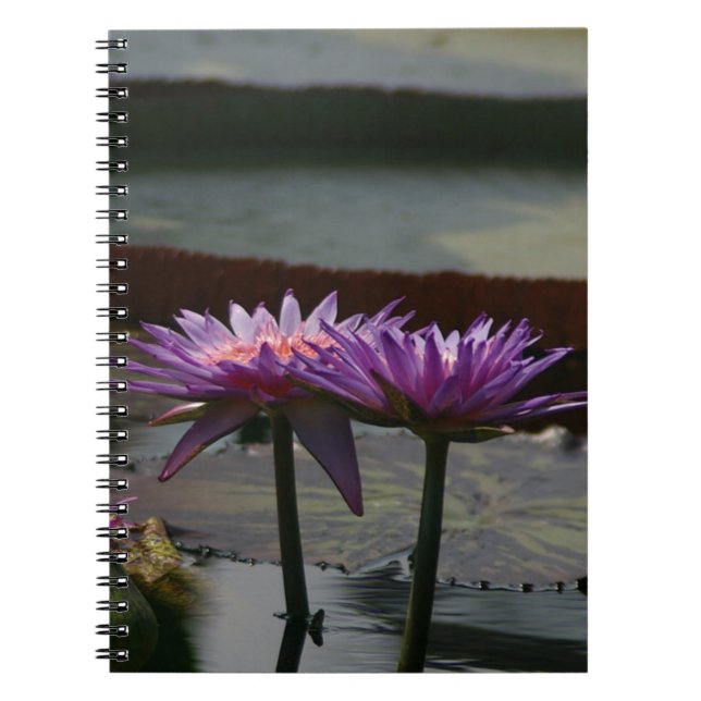 Caderno Espiral Notebook Purple Waterlily Lotus (Frente)