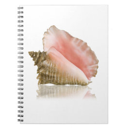 Caderno Espiral Notebook Queen Conch