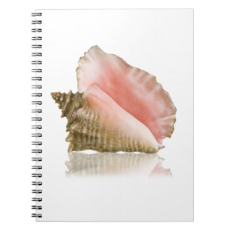 Caderno Espiral Notebook Queen Conch
