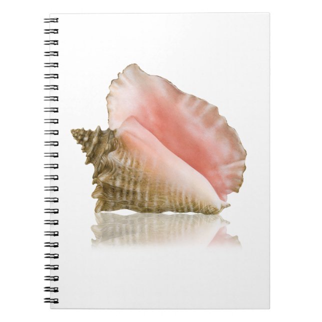 Caderno Espiral Notebook Queen Conch (Frente)
