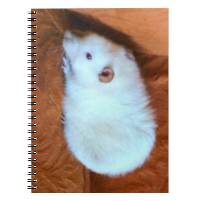 Caderno Espiral Notebook Rato Branco Snowball (Frente)