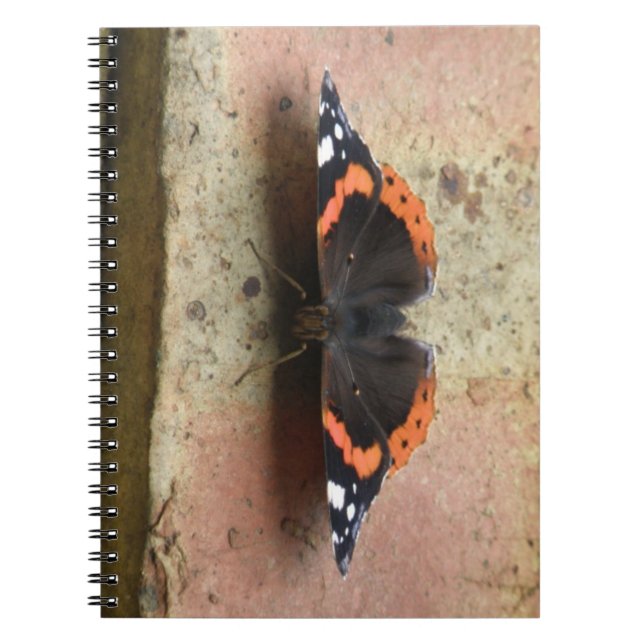 Caderno Espiral Notebook Red Admirator Butterfly (Frente)