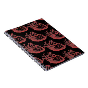 Caderno Espiral Notebook Red Anatomical Photo Lined 80pgs