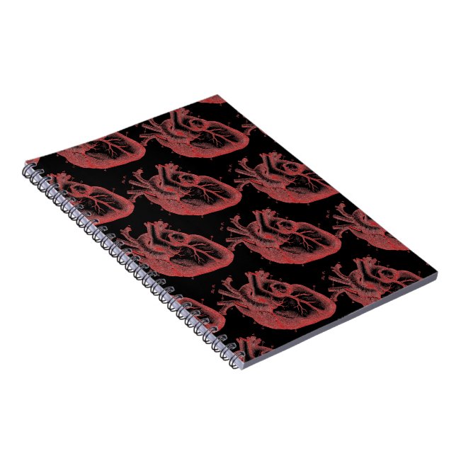 Caderno Espiral Notebook Red Anatomical Photo Lined 80pgs (Lado Direito)