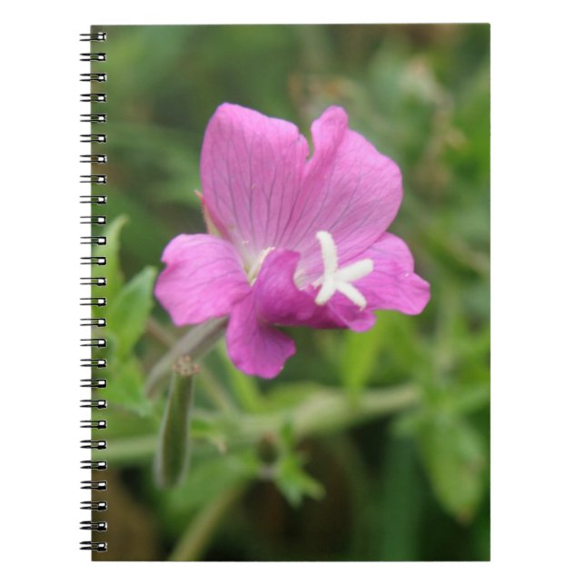 Caderno Espiral Notebook Red Campion Wildflower (Frente)