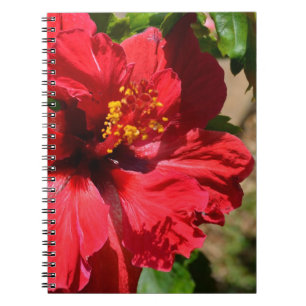 Caderno Espiral Notebook Red Hibiscus