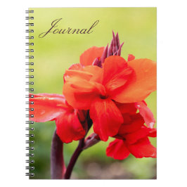Caderno Espiral Notebook Red Lily