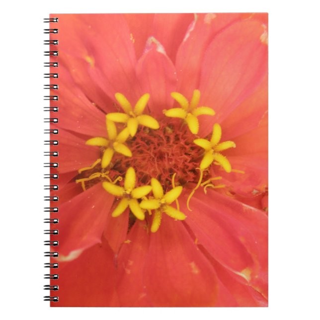 Caderno Espiral Notebook Red Zinnia Macro (Frente)