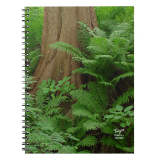 Caderno Espiral Notebook Redwood & Ferns