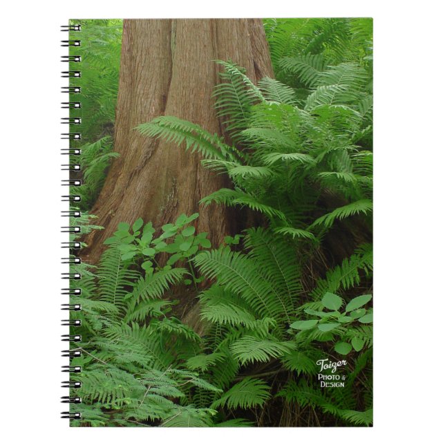 Caderno Espiral Notebook Redwood & Ferns (Frente)