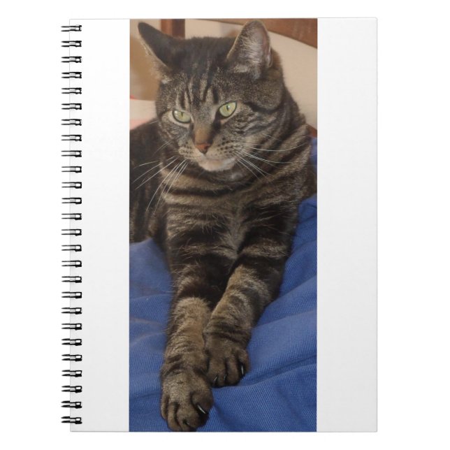 Caderno Espiral Notebook Regal Dave Photo (80 Páginas) (Frente)