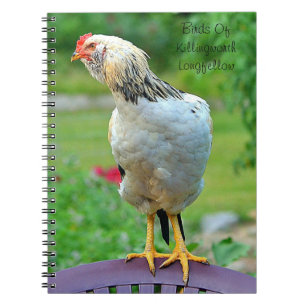 Caderno Espiral Notebook Rooster