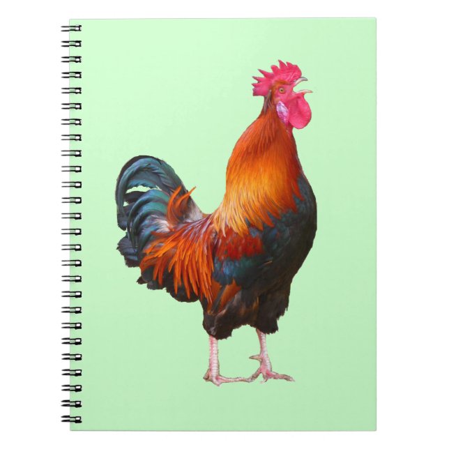 Caderno Espiral Notebook Rooster Crowing (Frente)