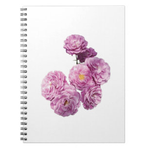 Caderno Espiral Notebook rosa