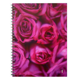 Caderno Espiral Notebook Rosa