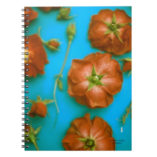 Caderno Espiral Notebook Rosa (Frente)
