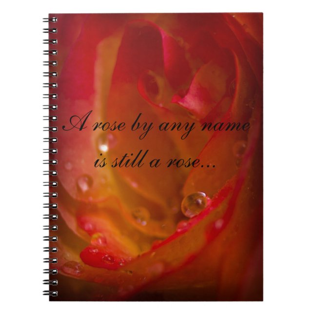 Caderno Espiral Notebook rosa 1 (Frente)