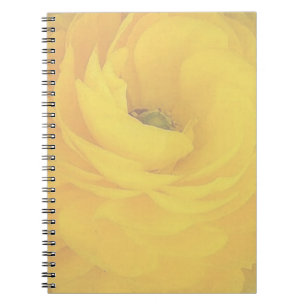 Caderno Espiral Notebook Rosa Amarelo