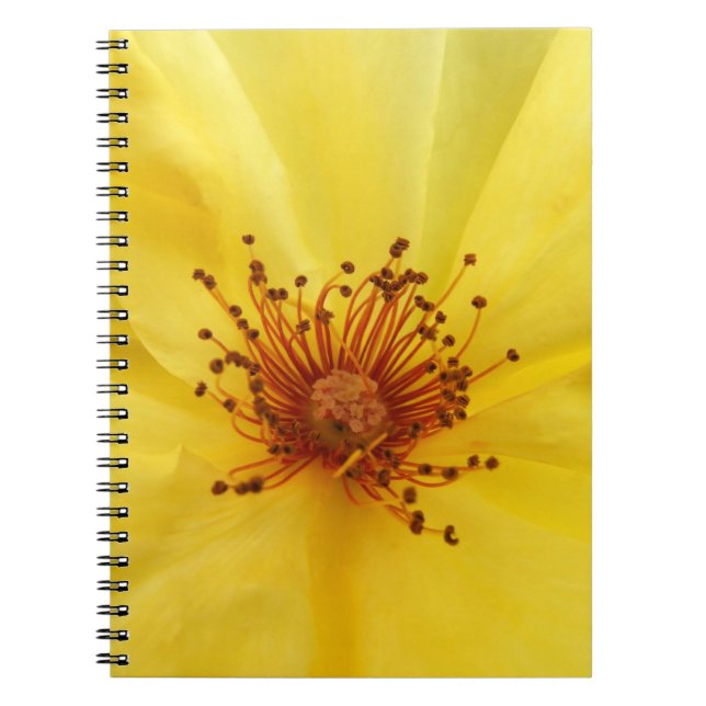 Caderno Espiral Notebook rosa amarelo (Frente)
