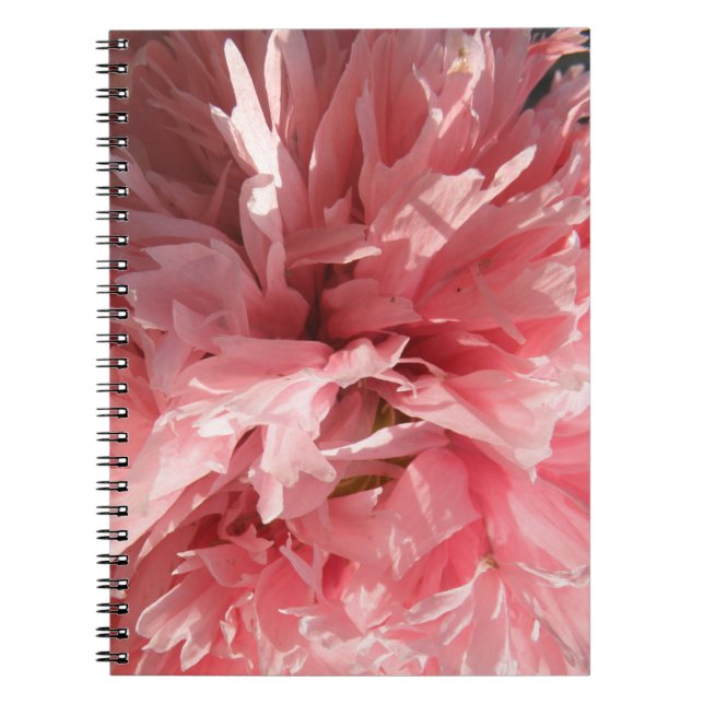 Caderno Espiral Notebook rosa-bonito com papoila (Frente)