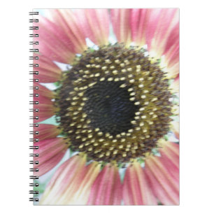 Caderno Espiral Notebook Rosa bonito de girassol