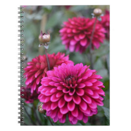 Caderno Espiral Notebook Rosa Dahlia Floral