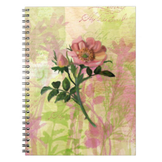 Caderno Espiral Notebook Rosa de cães
