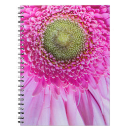Caderno Espiral Notebook Rosa Gerbera Daisy