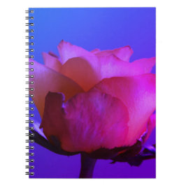 Caderno Espiral Notebook Rosa Rosa Rosa Rosa Rosa Rosa Rosa Rosa