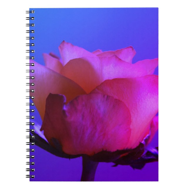 Caderno Espiral Notebook Rosa Rosa Rosa Rosa Rosa Rosa Rosa Rosa (Frente)