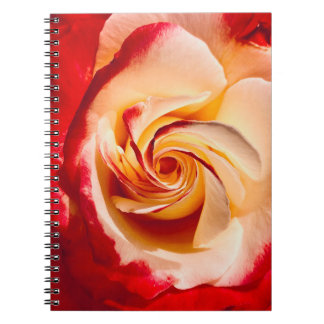Caderno Espiral Notebook Rosa Twirling