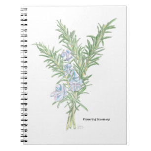 Caderno Espiral Notebook Rosemary Spiral