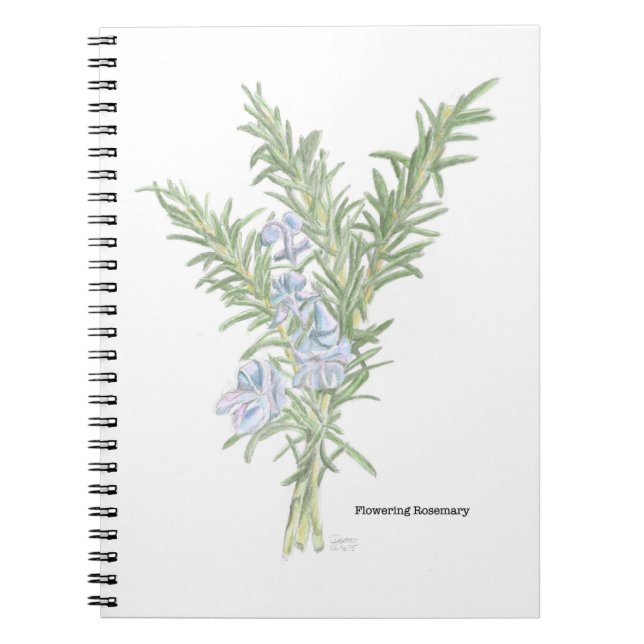 Caderno Espiral Notebook Rosemary Spiral (Frente)