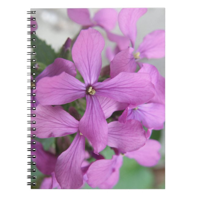 Caderno Espiral Notebook Roxo de Flores Selvagens (Frente)