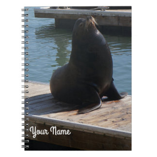 Caderno Espiral Notebook San Francisco Pier 39 Sea Lion 3-2