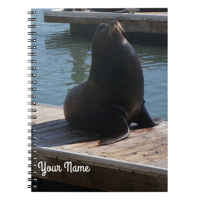 Caderno Espiral Notebook San Francisco Pier 39 Sea Lion 3-2 (Frente)