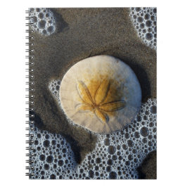 Caderno Espiral Notebook Sand Dollar e Surf Beach Photo Spiral